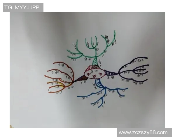 德州扑克顶级玩家经典对局深度解析思维与策略的秘密探索