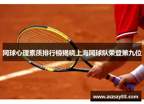 网球心理素质排行榜揭晓上海网球队荣登第九位