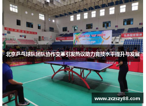 北京乒乓球队团队协作变革引发热议助力竞技水平提升与发展